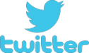 Twitter Pictorial type logo design