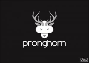 Creative Logo Design